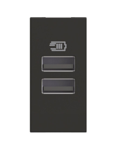 RG4191AA USB зарядно тип A и A 15W 3A 100-240V 50-60Hz, 1M Черен Bticino Classia