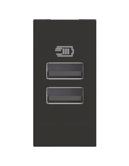 RG4191AA USB зарядно тип A и A 15W 3A 100-240V 50-60Hz, 1M Черен Bticino Classia