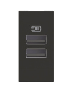BTICINO RG4191AA USB зарядно тип A и A 15W 3A 100-240V 50-60Hz, 1M Черен Classia - RG4191AA - Цена | LEDs4economy 2