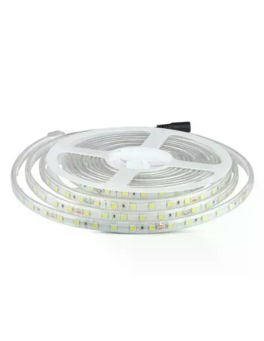 LED Лента 5050 60/1 24V IP65 6500K