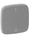 Legrand Лицев панел за двуполюсен ключ 1/0 цвят Алуминий Valena Allure - 755127 - Цена | LEDs4economy