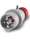 Scame Промишлен щепсел 3P+Е 16A IP54 серия Optima Reverse - 213.1636RV - Цена | LEDs4economy