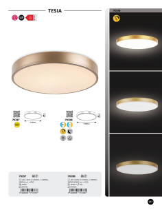 Rabalux Tesia Плафон IP20 LED 60W 3000-6000K 71038 - Цена | LEDs4economy 2