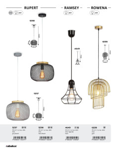 Rabalux Rupert Висящи осветителни тела IP20 E27 1x MAX 40W 5237 - Цена | LEDs4economy 2