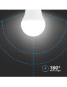V-tac LED Крушка - 4.5W E27 G45 6500K 3Бр/Сет 217364 - 5
