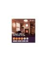 LEDVANCE LED ЛАМПА ORBIS BERLIN 490 mm 36W 830 BK - 4058075829367 - 3