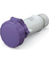 Scame Промишлен щепсел 3P 16A 20-25V IP66 серия IEC309 - 335.1609 - Цена | LEDs4economy