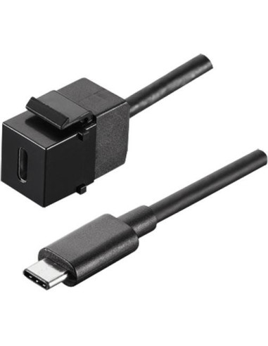 BACHMANN Инсърт USB C 3.1 (вход-изход за пренос на данни), цвят 