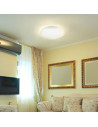 V-TAC 36W LED Плафон Мат Ф450 3000-6500 Сменяем Спектър - 217609 - 10