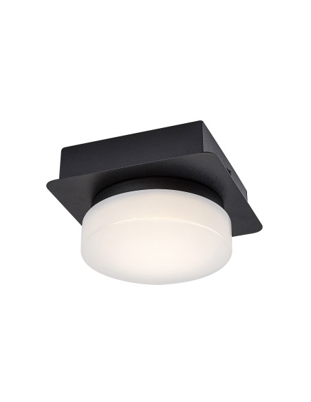 RABALUX Attichus, ind, ceil. LED5W, D13см - 75001 | Leds4economy.