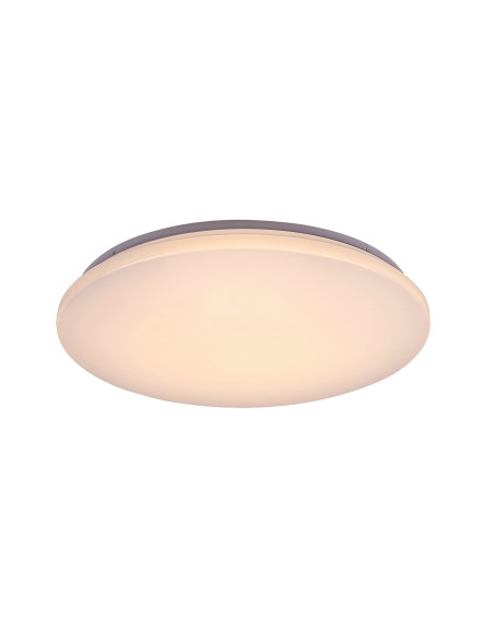 RABALUX Cerrigen, ind.ceil. LED48W, D50см - 71036 | Leds4economy.