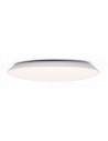 Rabalux Rorik Плафон IP20 LED 45W 4000 71125 - 2