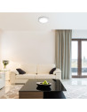 Rabalux Triton Плафон IP20 LED 40W 2249 - 25