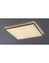 Rabalux Pavel Вградени и повърхностно монтирани лампи IP20 LED 22W 3430 - 4