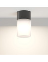 MAYTONI Плафон Уилис - O418CL-01B