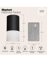 MAYTONI Плафон Pauline - C007CW-01B - 11