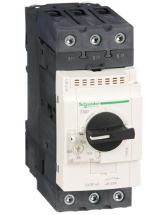 SE Моторна защита TeSys GV3P 30kW TM 48…65A 50kA EverLink - GV3P65 - Цена | LEDs4economy