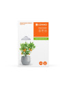 LEDVANCE ГРАДИНСКА LED ЛАМПА INDOR GARDEN UMBRELLA 200 USB WT - 4058075576155 - 3