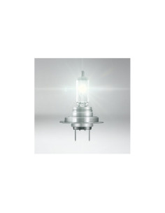 OSRAM АВТОМОБИЛНА ЛАМПА 64215TSP H7 70W 24V PX26D BOX - 4062172150521 - Цена | LEDs4economy