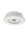 Rabalux Taneli Аплик IP20 LED 20W 6959 - 12