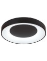 Rabalux Ceilo Плафон IP20 LED 38W 3000-6500 3082 - 3