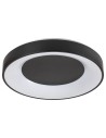Rabalux Ceilo Плафон IP20 LED 38W 3000-6500 3082 - 5