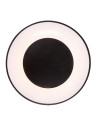 Rabalux Ceilo Плафон IP20 LED 38W 3000-6500 3082 - 6