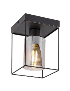 Rabalux Chadwick Плафон IP20 E27 1x MAX 25W K 71031 - Цена | LEDs4economy 2