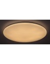 Rabalux Danny Плафон IP20 LED 36W 3000-6500 5445 - 3