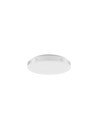 Rabalux Danuta2 Плафон IP20 LED 24W 4000 71085