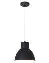 Rabalux Derek Висящи осветителни тела IP20 E27 1x MAX 60W K 2578