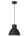 Rabalux Derek Висящи осветителни тела IP20 E27 1x MAX 60W K 2578 - 2