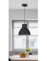 Rabalux Derek Висящи осветителни тела IP20 E27 1x MAX 60W K 2578 - 4