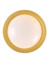 Rabalux Hafsa Плафон IP20 LED 24W 3000 71187 - 4
