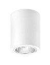 Rabalux Kobald Вградени и повърхностно монтирани лампи IP20 E27 1x MAX 25W K 2056