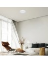 Rabalux Lauri Вградени и повърхностно монтирани лампи IP20 LED 22W 3000-6500K 71244 - 4