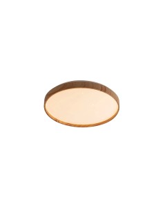 Rabalux Leana2 Плафон IP20 LED 24W 3000 71144 - Цена | LEDs4economy 2
