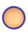 Rabalux Leonie Плафон IP20 LED 24W 3000-6500 1510 - 7