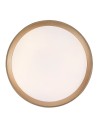 Rabalux Liatris2 Плафон IP20 LED 24W 3000 71185 - 4