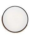 Rabalux Плафон MAPLE - 3528 - 3