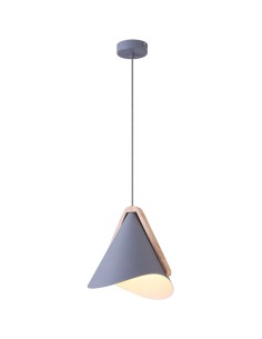Rabalux Neva Висящи осветителни тела IP20 E27 1x MAX 60W K 6649 - Цена | LEDs4economy