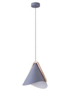 Rabalux Neva Висящи осветителни тела IP20 E27 1x MAX 60W K 6649 - Цена | LEDs4economy 2