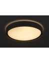 Rabalux Achilles Плафон IP20 LED 40W 2700-6500 3146 - 2