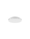 Rabalux Danuta2 Плафон IP20 LED 24W 4000 71085 - 7