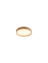 Rabalux Leana2 Плафон IP20 LED 12W 3000 71143