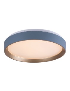 Rabalux Liatris2 Плафон IP20 LED 24W 3000 71185 - Цена | LEDs4economy