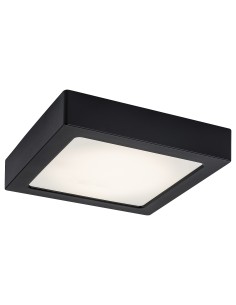 Rabalux Shaun2 Вградени и повърхностно монтирани лампи IP20 LED 15W 4000K 71202 - Цена | LEDs4economy