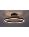 Rabalux Isaure Плафон IP20 LED 24W 3000-6500 71302 - 13