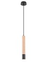 Rabalux Braulia Висящи осветителни тела IP20 GU10 1x MAX 50W K 72131 - 7