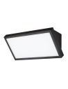 Rabalux Rapla2 Външно стенно осветление IP65 LED 18W 2700, 4000, 6500K 77150